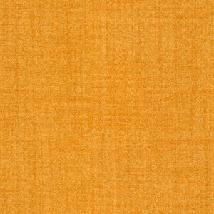 Материал: Хермес ФР (Hermes FR), Цвет: HERMES FR-Turmeric 40-структура